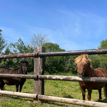 Вілла La Forge, Gite Familial,A Sainte Mere Eglise Екстер'єр фото
